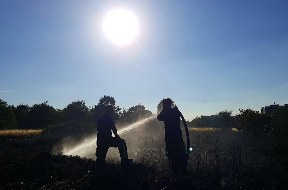 Firefighters tackle the grass fire on Woolwich Common