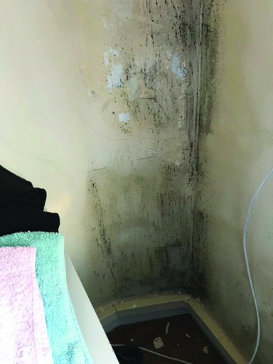 Damp in one of the flats