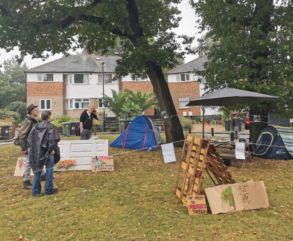 Residents are sleeping in tents and occupying a green area to stop town hall officials axing two trees which are more than 170 years old