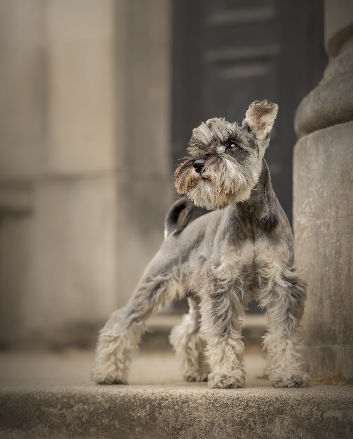 ‘It hasn’t quite sunk in yet’: Photographer scoops international award