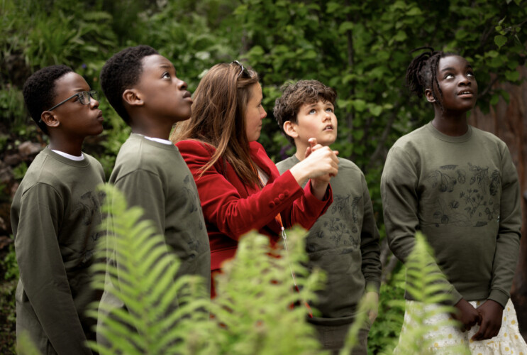 British Rainforest Garden enchants judges at RHS Chelsea Flower Show